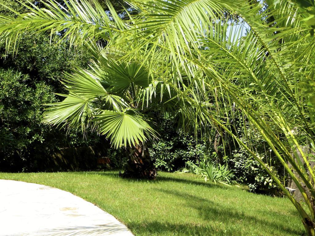 Appartement Dans Villa St Raphael Saint-Raphael  Room photo