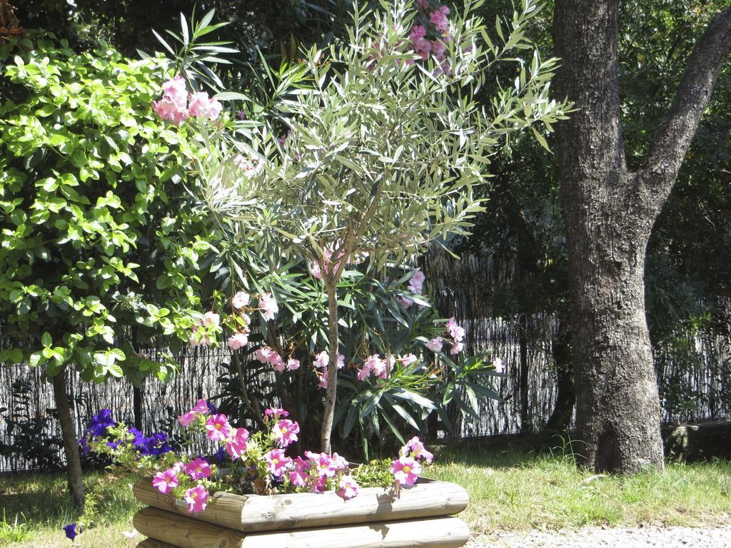 Appartement Dans Villa St Raphael Saint-Raphael  Room photo